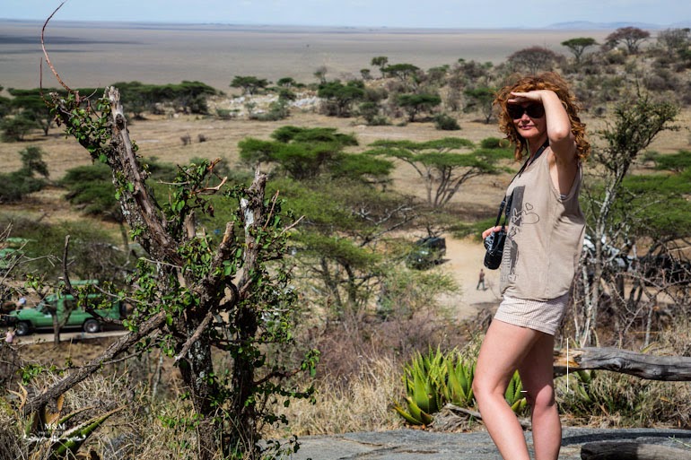 Safari Serengeti Park Tanzania Addicted To Passion